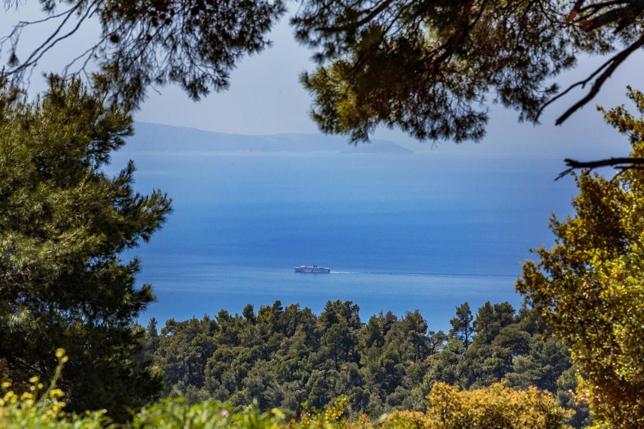 Aegean View Villa Skopelos Town Exterior photo